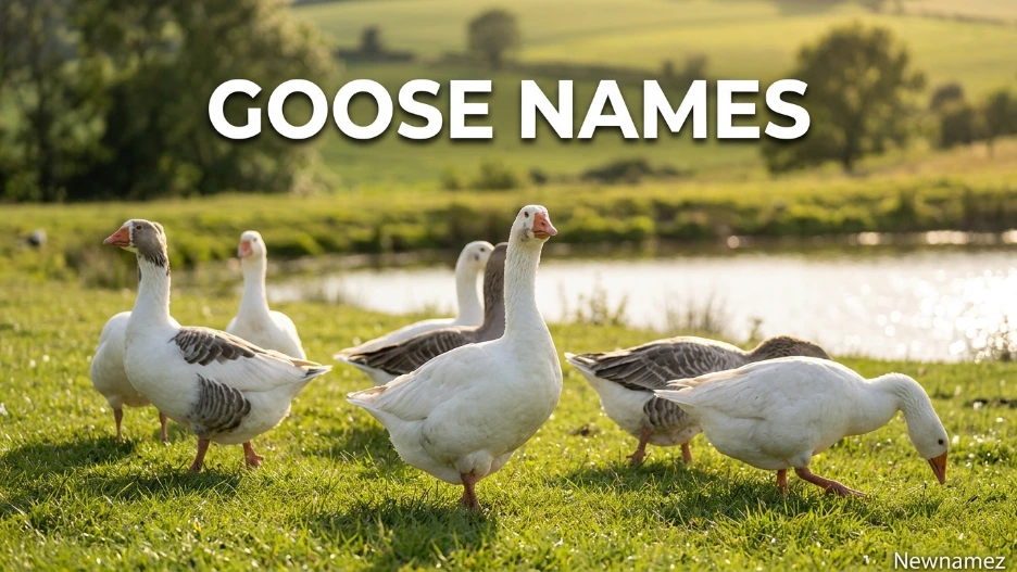 Goose Names